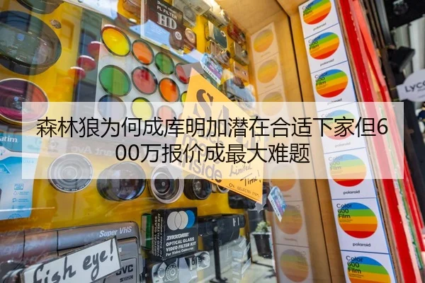 森林狼为何成库明加潜在合适下家但600万报价成最大难题